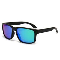 Polarized plastic TR90 sunglasses with UV400 protection 2973-GT