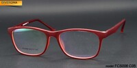 Plastic frames for glasses TR-90 + CA material (flex hinges) FOCUS FCS006