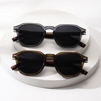 Пластиковые поляризационные солнцезащитные очки Elit ZT-10055-EL