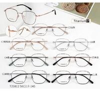 Оправа сверхлёгкая титановая + пластик TR90 MAMO T23812