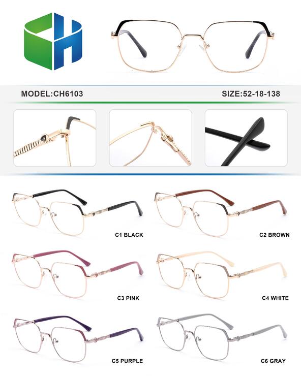 Оправа металлическая с флексом CH6103-DA