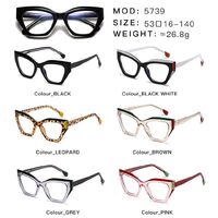 Оправа пластиковая с линзами с защитой от синего света, с флексом Elit 5739-EL