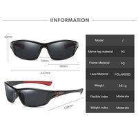 Polarized plastic sunglasses with UV400 protection D120-GT