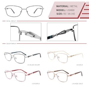 Оправа металлическая с флексом LE8800-DA