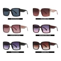 Plastic sunglasses for women Elit 9113-EL