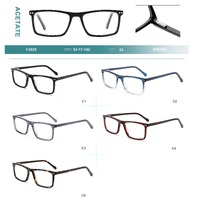 Acetate plastic frames for glasses with spring hinges Big City F3035