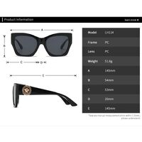 Plastic cat-eye sunglasses for women Elit LH114-EL