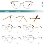 Metal frames for glasses with spring hinges Big City 9008A22