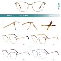 Metal frames for glasses with spring hinges Big City 9008A22