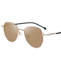 Photochromic glasses with blue light and UV protection 9641-GT