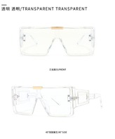 Sunglasses Elit one piece in retro style 6955