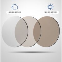 Photochromic glasses with blue light and UV protection 9665-GT