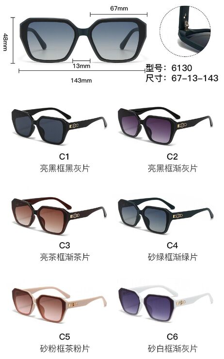 PC plastic sunglasses with metal hinge 6130W