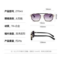 Plastic + metal retro sunglasses Elit ZTT043-EL