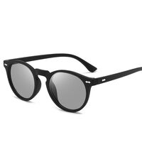 Photochromic glasses with blue light and UV protection 2947-GT