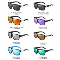 Polarized plastic sunglasses with UV400 protection D008-GT