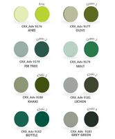 Краситель порошковый TCN, для окрашивания пластиковых CR39 линз с индексом 1.50, набор 10 пакетиков по 10 г