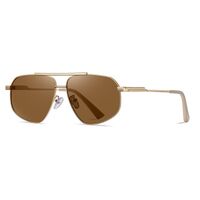 Polarized metal sunglasses with UV400 protection 2976-GT
