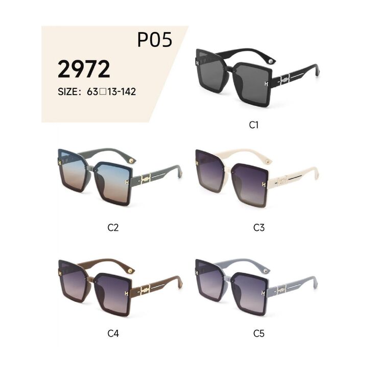 Polarized metal + TR90 sunglasses P05KY 2972