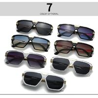 Plastic sunglasses for men Elit LH120-EL