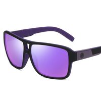 Polarized plastic sunglasses with UV400 protection D008-GT