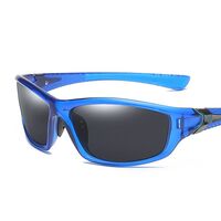 Polarized plastic sunglasses with UV400 protection D120-GT