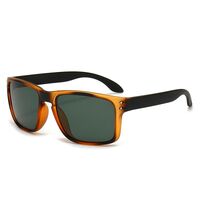 Polarized plastic TR90 sunglasses with UV400 protection 2973-GT