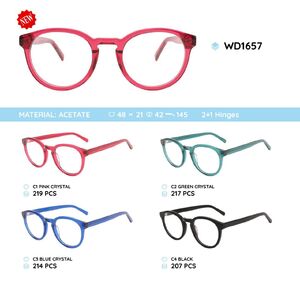 Plastic acetate eyeglasses frame with spring hinges WD1657