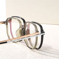 Оправа гибридная, титан + TR90 SANTA M8173