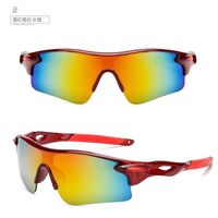 Очки защитные противоударные тактические ветрозащитные полуободковые T9181