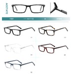 Acetate plastic frames for glasses with spring hinges Big City F3037