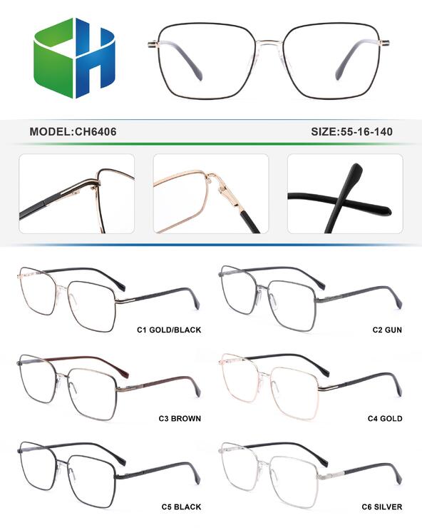 Оправа металлическая с флексом CH6406-DA