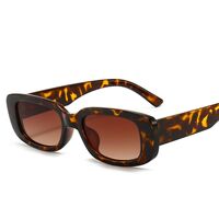 Polarized plastic sunglasses with UV400 protection 9071-GT