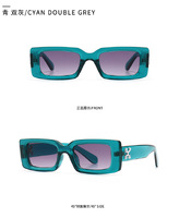 Sunglasses Elit modern with snowflake decoration 1109