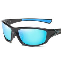 Polarized plastic sunglasses with UV400 protection D120-GT