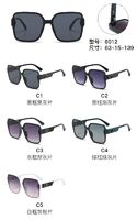 PC plastic sunglasses with metal hinge 6012W