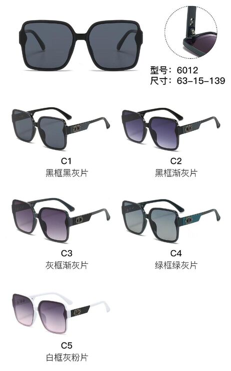 PC plastic sunglasses with metal hinge 6012W