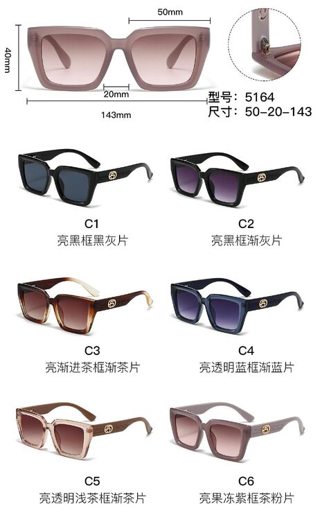 PC plastic sunglasses with metal hinge 5164W