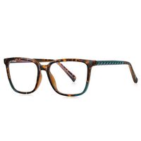 Plastic TR90 frames for glasses with Blue Ray Cut protection and flex hinges FOCUS FCS2135