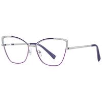 Metal Blue Blocker frames for glasses MORE FCS3113