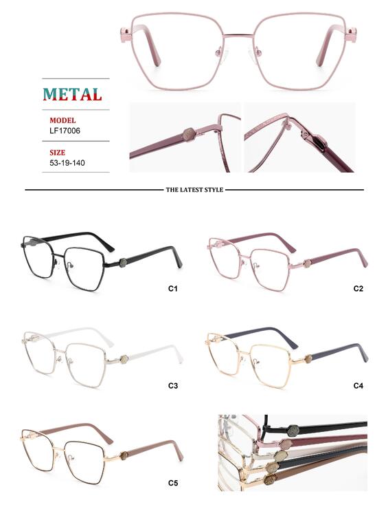 Metal frames for glasses with spring hinges for women Big City LF17006