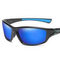 Polarized plastic sunglasses with UV400 protection D120-GT