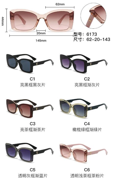 PC plastic sunglasses with metal hinge 6173W