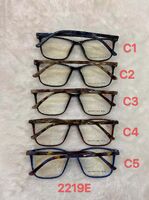 TR-90 plastic frame 2219E