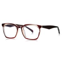 Plastic TR90 frame for glasses with UV protection and spring hinges More LS011