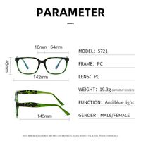 Plastic frame with anti-blue light protection lenses, with spring hinges Elit 5721-EL