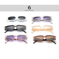 Plastic sunglasses Elit 9150-EL