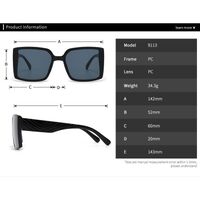 Plastic sunglasses for women Elit 9113-EL