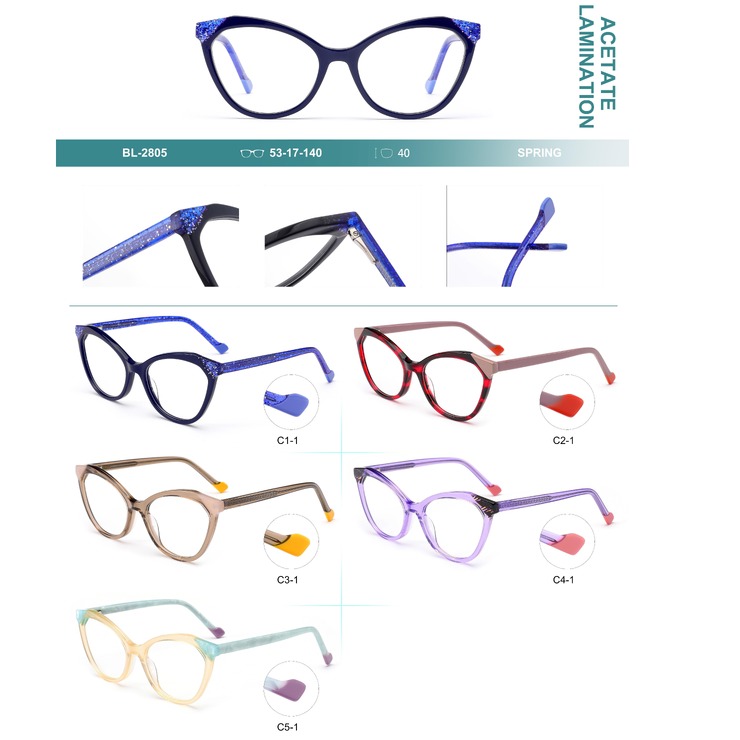 Plastic frames for glasses, acetate lamination with spring hinges Big City BL-2805
