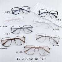 Hybrid frame, metal +tr90, with Blue Block protection SANTA TJ1436